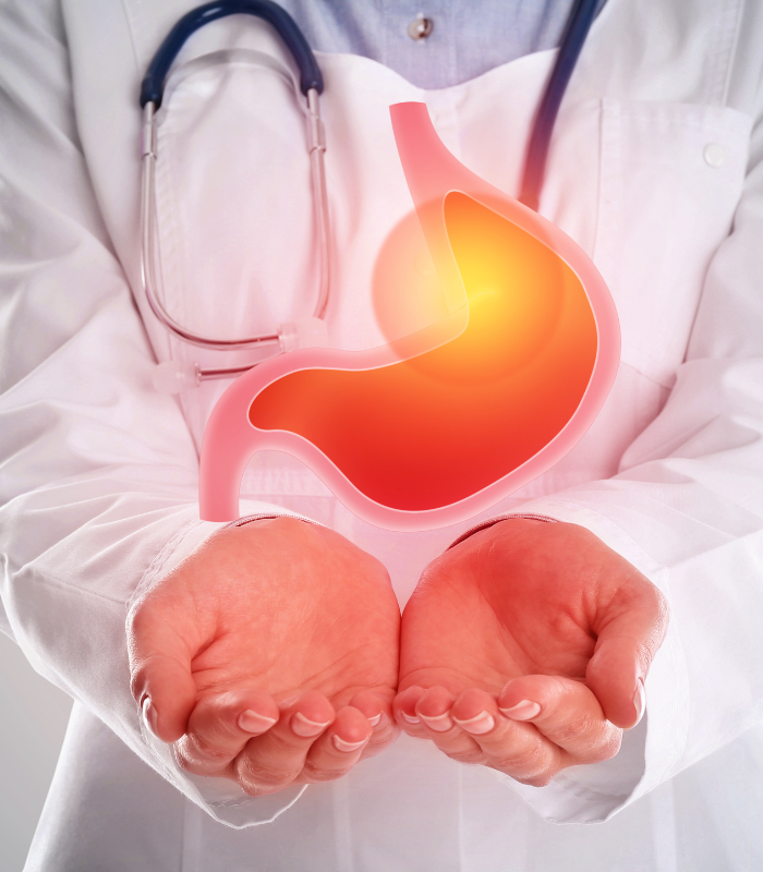 Gastroenterologia